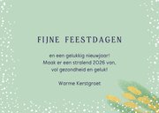 Kerstkaart Fijne Kerstdagen 3