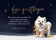 Kerstkaart foto kerst hond Samojeed puppy winter lampjes 3