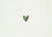 Kerstkaart merry new home dennentakjes besjes Achterkant