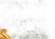 Kerstkaart met foto en kerstboom 2