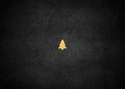 Kerstkaart met foto, kerstbomen, sterren en 'Fijne Kerst!' Achterkant