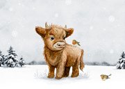 Kerstkaart Schotse hooglander roodborstjes foto winter 2