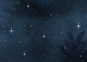 Kerstkaart teckel met lampjes, sneeuw en roodborstje Achterkant