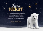 Kerstkaart winter ijsbeer foto sterren goud fijne kerst 2026 3