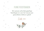 Kerstkaartje fotocollage maan roodborstje en vlokjes 3