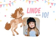 Kinderfeestje uitnodiging paardenfeestje met vlaggetjes 2