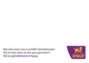 KNGF geleidehond kerstkaart ster 2