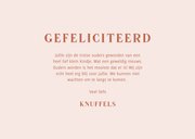 Lief felicitatiekaartje beertjes dochter roze 3