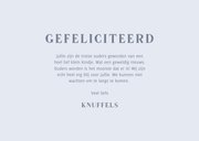 Lief felicitatiekaartje met beertjes voor een zoon 3