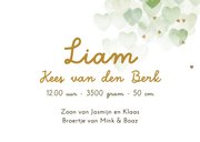 Lief geboortekaartje hartjes waterverf groen goudfolie 3