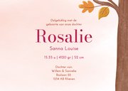  Lief geboortekaartje meisje eekhoorn met baby in herfst 3