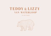 Lief geboortekaartje met illustratie van beertjes tweeling 2