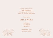 Lief geboortekaartje met illustratie van beertjes tweeling 3