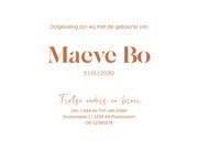 Lief geboortekaartje met koperfolie– broer kust baby 3