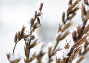 Moderne winterse wenskaart met natuurfoto 2