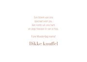 Moederdagkaart twee eekhoorntjes met bloem 3