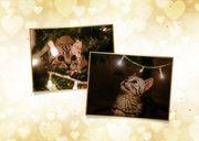 Nieuwjaar fotokaart met liefdevol 2026 goudlook hartjes 2