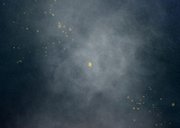 Nieuwjaarskaart met foto licht liefde goud vuurwerk 2026 Achterkant
