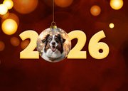 Nieuwjaarskaart modern 2026 rood kerstbal goud met foto 2