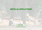 Oeps... rennende herten in het bos 3