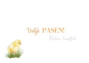 Paaskaart vier kuikentjes op een rij 3
