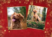Rode kerstkaart met sterren achtergrond en eigen foto 2