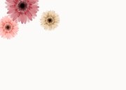 Rouwkaart bedankt gerbera bloemen kleurrijk stijlvol 2