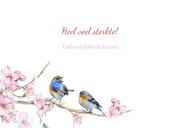 Sterkte vogeltjes voorjaar 3