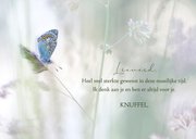 Sterktekaart blauwe vlinder 3