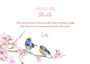 Sterktekaart vogeltjes voorjaar 3