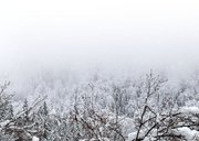 Stijlvolle kerstkaart foto sneeuwlandschap Fijne Feestdagen Achterkant