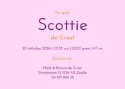 Trendy geboortekaartje met strikjes patroon 3