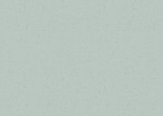 Uitnodiging pensioenfeest met pioenrozen Achterkant