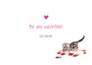 Valentijnskaart - You're purrrfect - Kitten roze 3