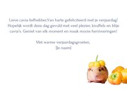 verjaardagskaart cavia met feestmuts van paprika 3