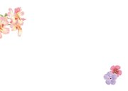 Verjaardagskaart met kitten Gijsje tussen de bloemen 2