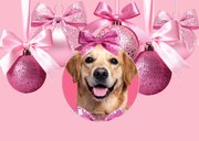 Vrolijke roze kerstkaart kerstballen strikken en foto's 2