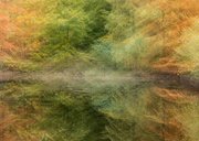 Wenskaart bewegend herfstbos 2