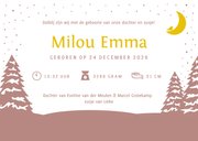 Winters geboortekaartje meisje met 2 zusjes in een bakfiets  3