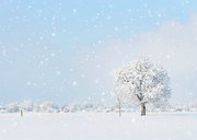 Winterse zakelijke kerstkaart met een boom in de sneeuw 2