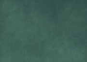 Zakelijke botanische waardebon kerstkaart met logo Achterkant