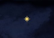 Zakelijke kerstkaart prettige feestdagen confetti bedankt Achterkant