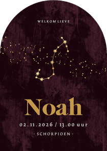 Boogvorm geboortekaart sterrenbeeld schorpioen astrologie