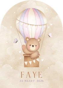 Geboortekaartje beertje in luchtballon vlinders en wolkjes