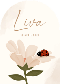 Geboortekaartje boogvorm met lieveheersbeestje op bloem