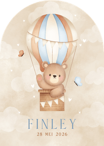 Geboortekaartje jongen beertje luchtballon vlinders & wolken