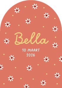 Geboortekaartje meisje bloemetjes stipjes lente vrolijk