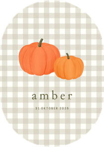 Geboortekaartje ruitjes pompoen herfst ovaal