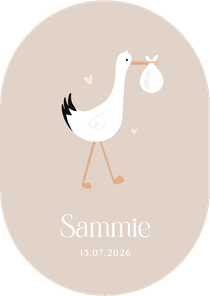 Hip unisex geboortekaartje ovaal met ooievaar illustratie