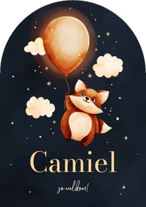 Lief blauw boog geboortekaartje met vosje en een ballon